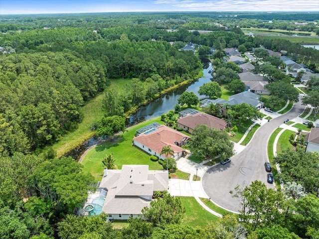 6127 Cezanne Ave, Lutz, FL 33558 - aerial view of residential area featuring a nearby body of water