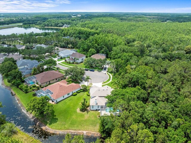 6127 Cezanne Ave, Lutz, FL 33558 - aerial view of property and surrounding area featuring a forest and a large body of water