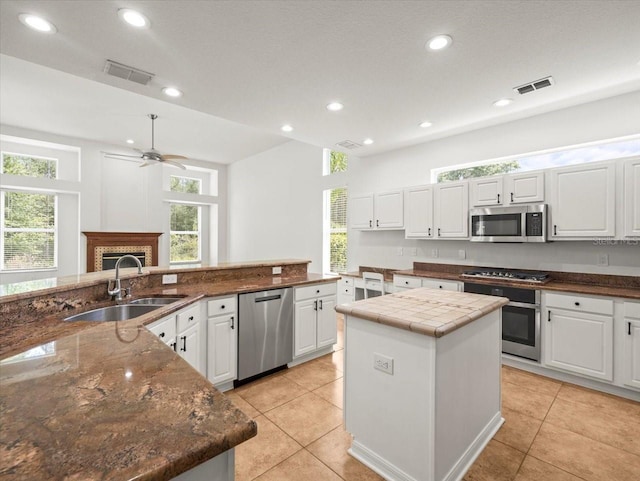 6127 Cezanne Ave, Lutz, FL 33558 - kitchen featuring appliances with stainless steel finishes, a sink, a center island, ceiling fan, and a fireplace