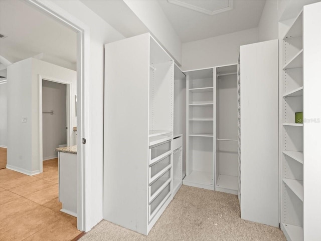 6127 Cezanne Ave, Lutz, FL 33558 - view of spacious closet