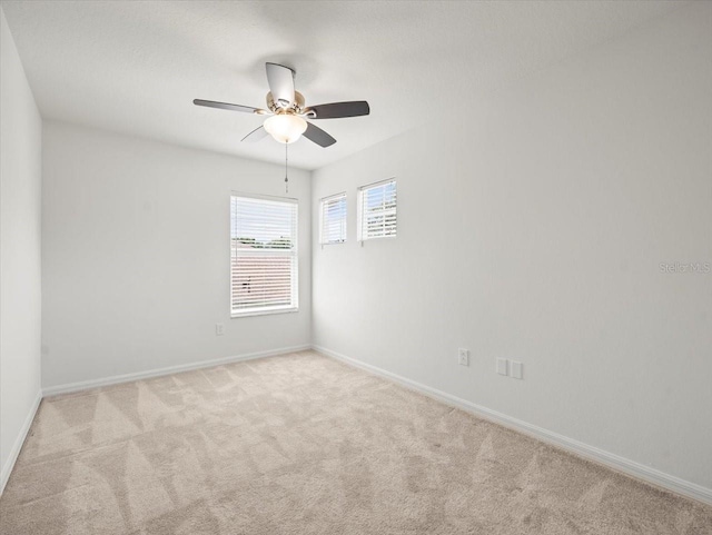 6127 Cezanne Ave, Lutz, FL 33558 - spare room with carpet flooring, ceiling fan, and baseboards