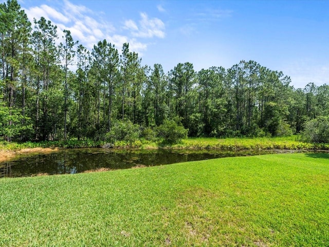 6127 Cezanne Ave, Lutz, FL 33558 - view of grassy yard with a water view