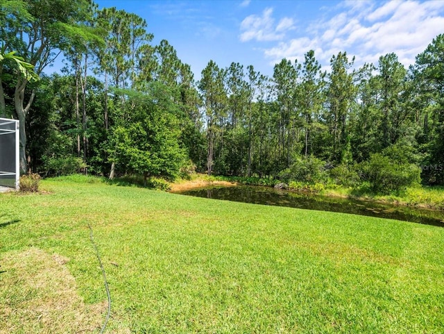 6127 Cezanne Ave, Lutz, FL 33558 - view of green lawn featuring a water view