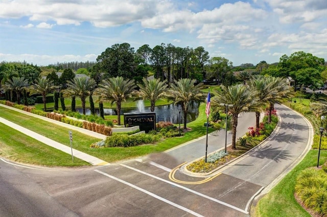 6127 Cezanne Ave, Lutz, FL 33558 - view of property's community featuring a water view, uncovered parking, and view of wooded area