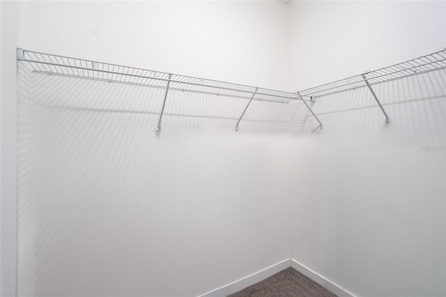 3428 Tranquil Trl, Kissimmee, FL 34747 - spacious closet featuring dark colored carpet