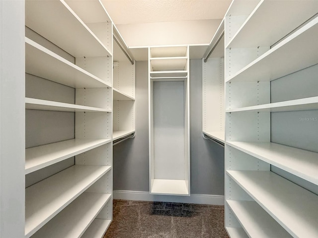 6619 S Manhattan Ave Unit 1, Tampa, FL 33616 - spacious closet featuring dark colored carpet