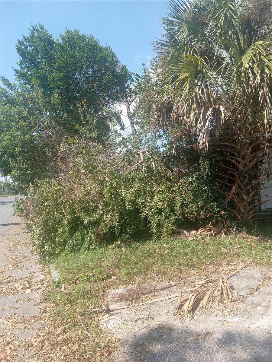 119 W 7th St, Lakeland, FL 33805