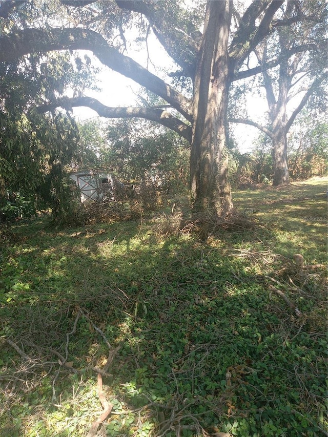 119 W 7th St, Lakeland, FL 33805