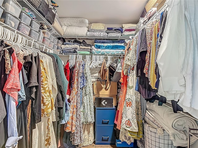 1014 Sylvia Ln, Tampa, FL 33613 - view of walk in closet