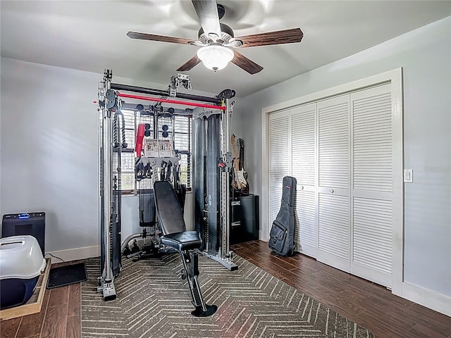 1014 Sylvia Ln, Tampa, FL 33613 - workout area featuring a ceiling fan and dark wood finished floors