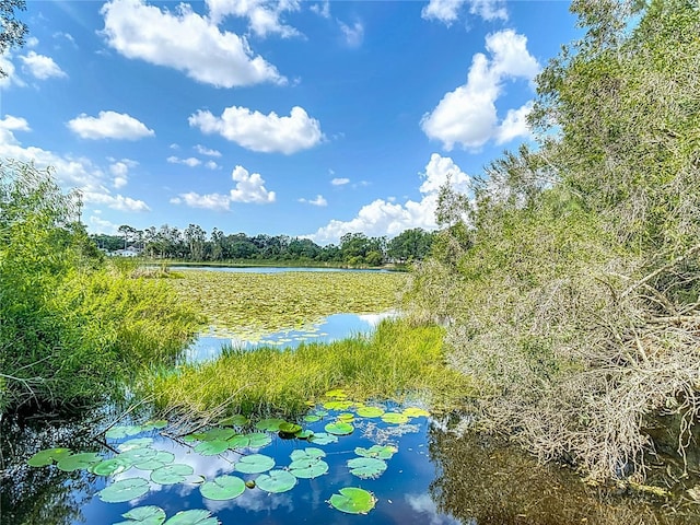 1014 Sylvia Ln, Tampa, FL 33613 - water view