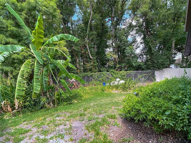 1014 Sylvia Ln, Tampa, FL 33613 - view of yard
