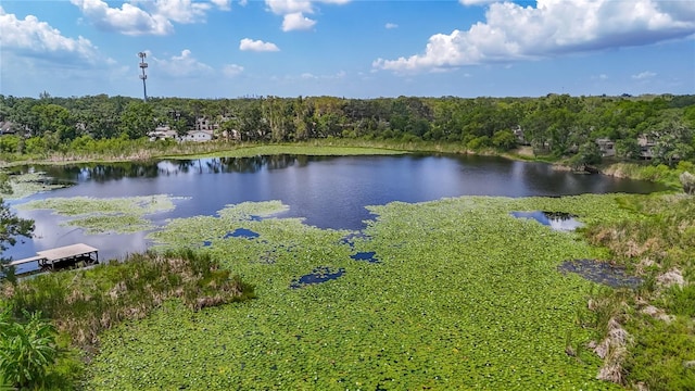 1014 Sylvia Ln, Tampa, FL 33613 - water view