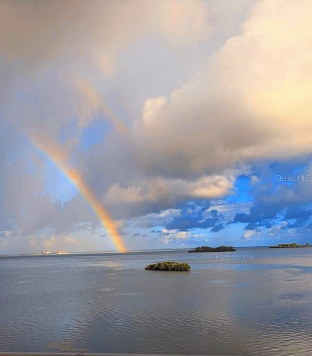 2700 Bayshore Blvd Unit 11405, Dunedin, FL 34698 - water view