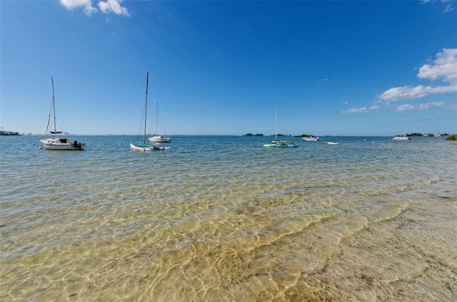 2700 Bayshore Blvd Unit 11405, Dunedin, FL 34698 - water view