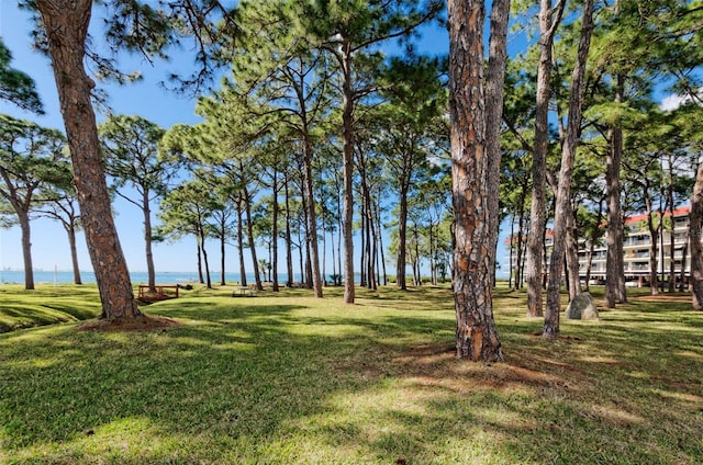 2700 Bayshore Blvd Unit 11405, Dunedin, FL 34698 - view of green lawn with a water view