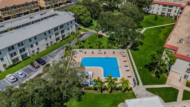2700 Bayshore Blvd Unit 11405, Dunedin, FL 34698 - drone / aerial view of a pool area and apartment complex