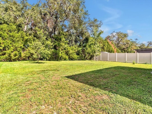 12428 Chaya Ct, Spring Hill, FL 34610 - view of yard