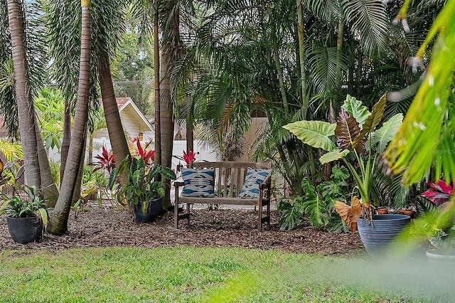 1211 14th St N, Saint Petersburg, FL 33705 - view of yard