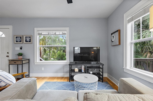 1211 14th St N, Saint Petersburg, FL 33705 - living room featuring plenty of natural light, wood finished floors, and baseboards