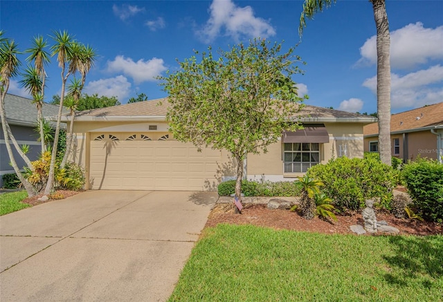 10801 Collar Dr, San Antonio, FL 33576 - photo 1