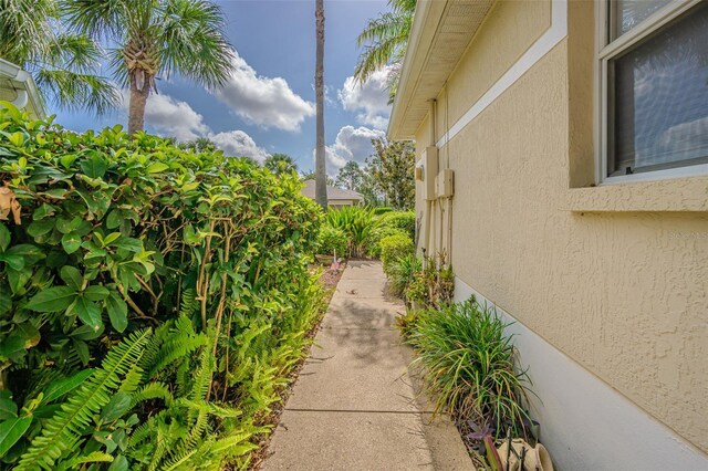 10801 Collar Dr, San Antonio, FL 33576 - photo 5