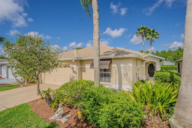 10801 Collar Dr, San Antonio, FL 33576 - photo 7