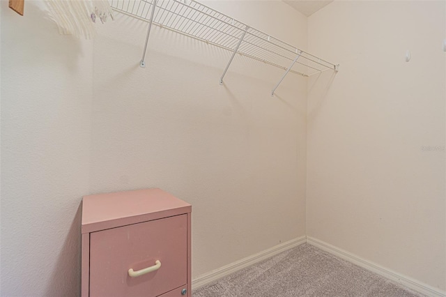 10801 Collar Dr, San Antonio, FL 33576 - photo 20