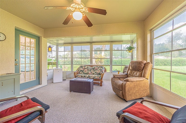 10801 Collar Dr, San Antonio, FL 33576 - photo 23