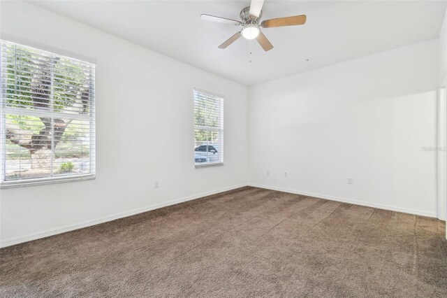 5052 Sunridge Palms Dr Unit 102, Tampa, FL 33617 - photo 35