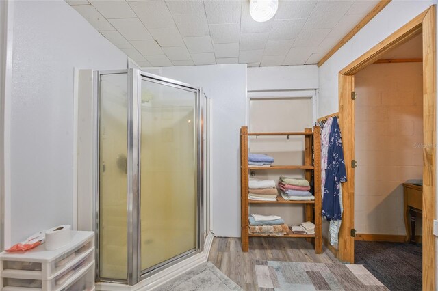 3217 Mott Rd, Dover, FL 33527 - bathroom featuring a shower stall and wood finished floors