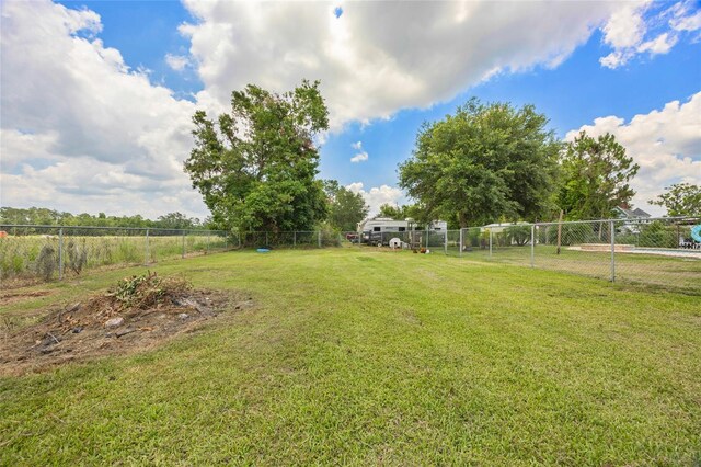 3217 Mott Rd, Dover, FL 33527 - view of yard