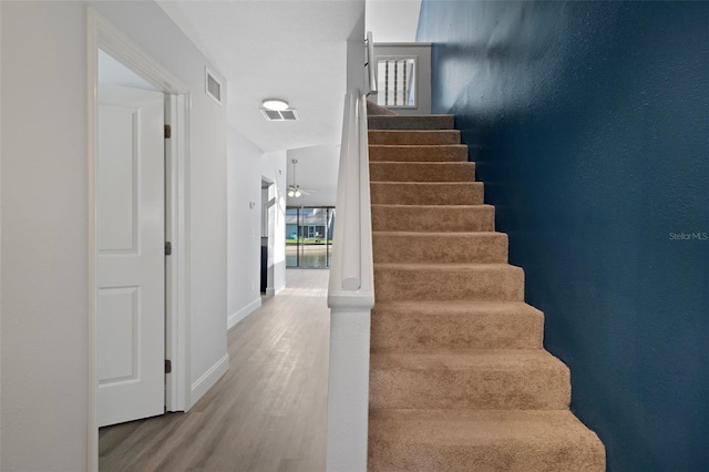 500 New York Ave Unit 23, Dunedin, FL 34698 - staircase with wood finished floors, baseboards, and a ceiling fan