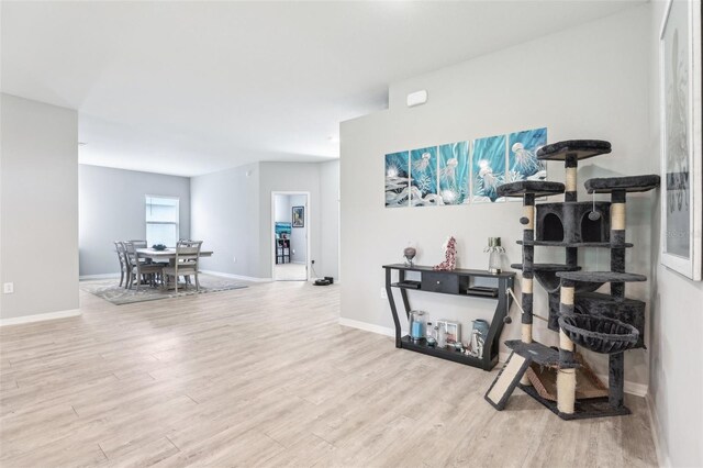 229 St Thomas Dr, Mulberry, FL 33860 - dining room with wood finished floors and baseboards
