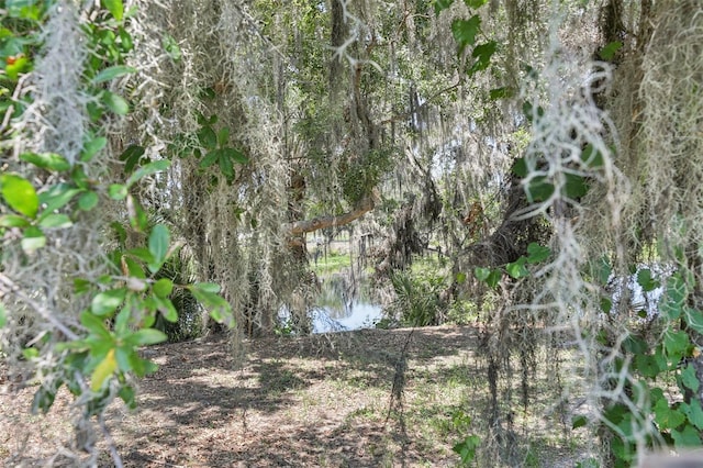 229 St Thomas Dr, Mulberry, FL 33860 - view of undeveloped land