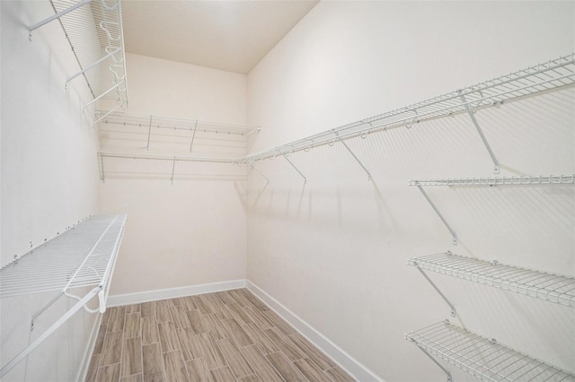 212 Shell Creek Ct, Apollo Beach, FL 33572 - spacious closet featuring light wood finished floors