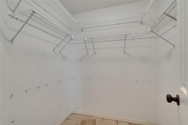 4418 River Overlook Dr, Valrico, FL 33596 - view of spacious closet