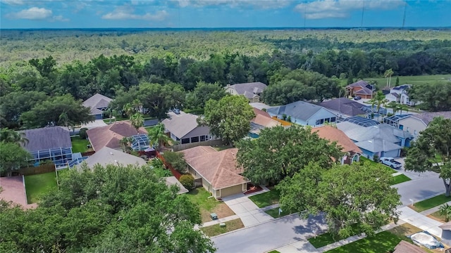 4418 River Overlook Dr, Valrico, FL 33596 - aerial perspective of suburban area featuring a forest