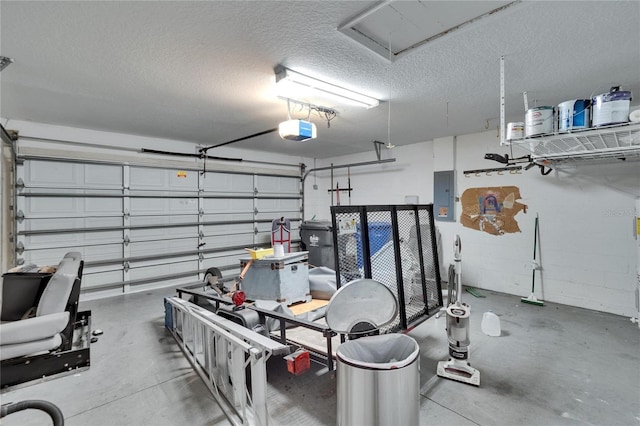 4418 River Overlook Dr, Valrico, FL 33596 - garage featuring electric panel and a garage door opener
