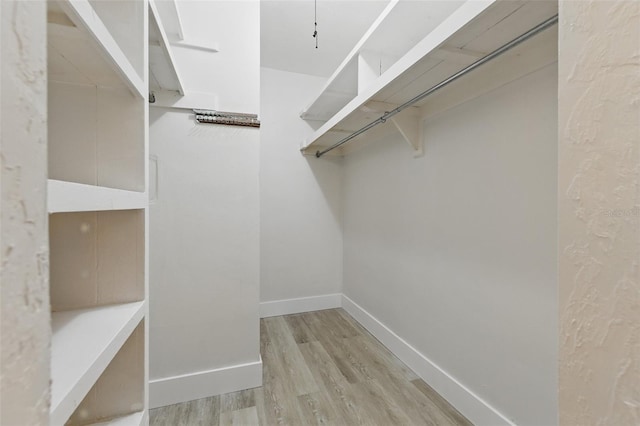1470 Serpentine Dr S, Saint Petersburg, FL 33705 - walk in closet featuring wood finished floors