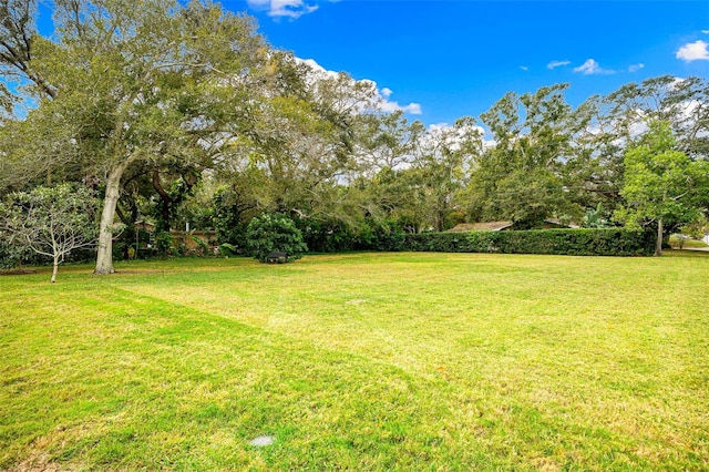 995 Knollwood Street 995&997, Dunedin, FL 34698