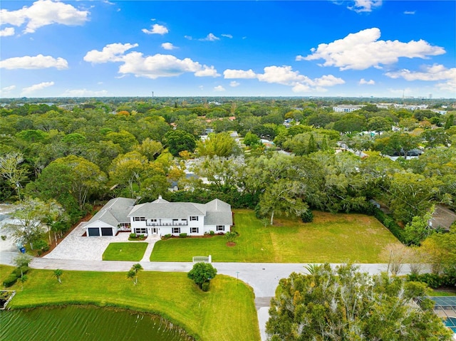 995 Knollwood Street 995&997, Dunedin, FL 34698