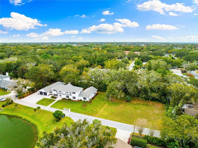 995 Knollwood Street 995&997, Dunedin, FL 34698