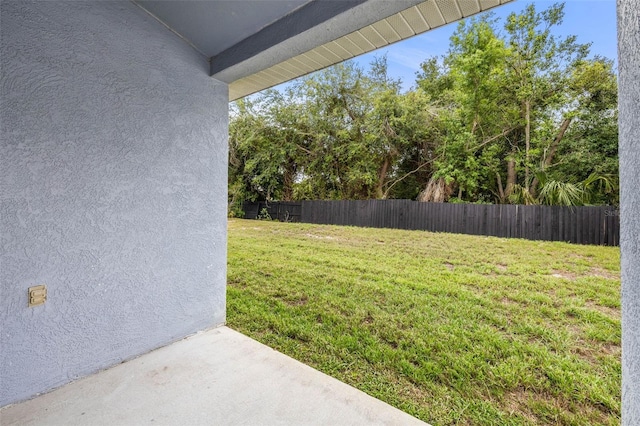12746 Standbridge Dr, Riverview, FL 33579 - view of yard