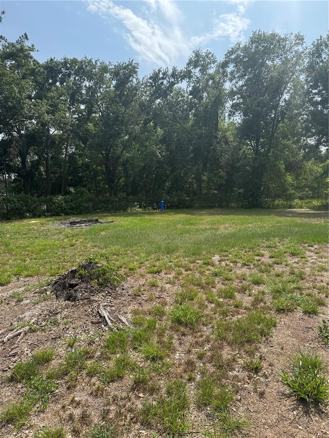 2220 Woods Trl, Lakeland, FL 33809 - view of yard