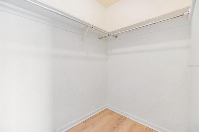 1485 Lakeview Rd Unit 19, Clearwater, FL 33756 - walk in closet with light wood-type flooring