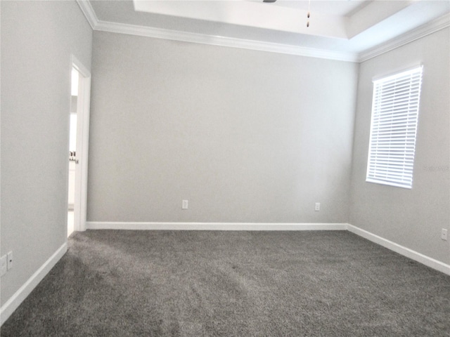 24815 Lambrusco Loop, Lutz, FL 33559 - spare room with crown molding, dark colored carpet, a tray ceiling, ceiling fan, and baseboards