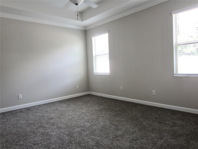 24815 Lambrusco Loop, Lutz, FL 33559 - unfurnished room featuring a raised ceiling, crown molding, a ceiling fan, dark colored carpet, and baseboards