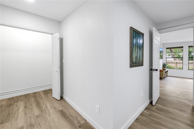 300 33rd Ave N, Saint Petersburg, FL 33704 - hallway with wood finished floors and baseboards
