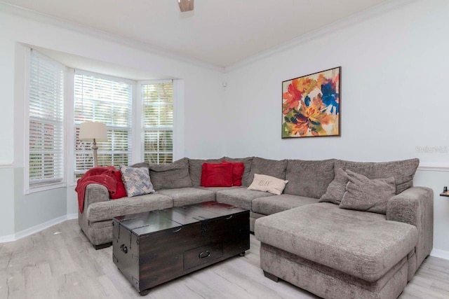 2648 Sabal Springs Dr Unit 2, Clearwater, FL 33761 - living room with ornamental molding, light wood-style floors, and baseboards